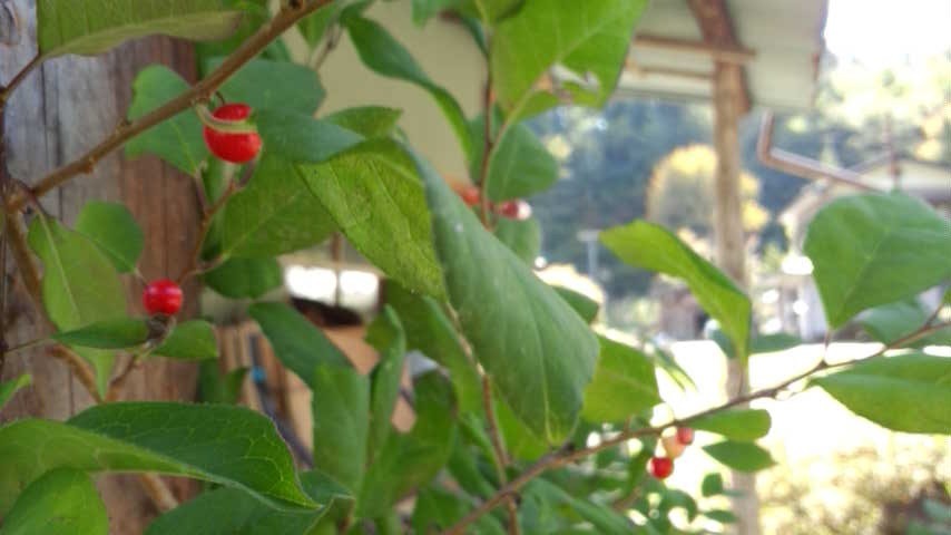 a0130586_18504670.jpg