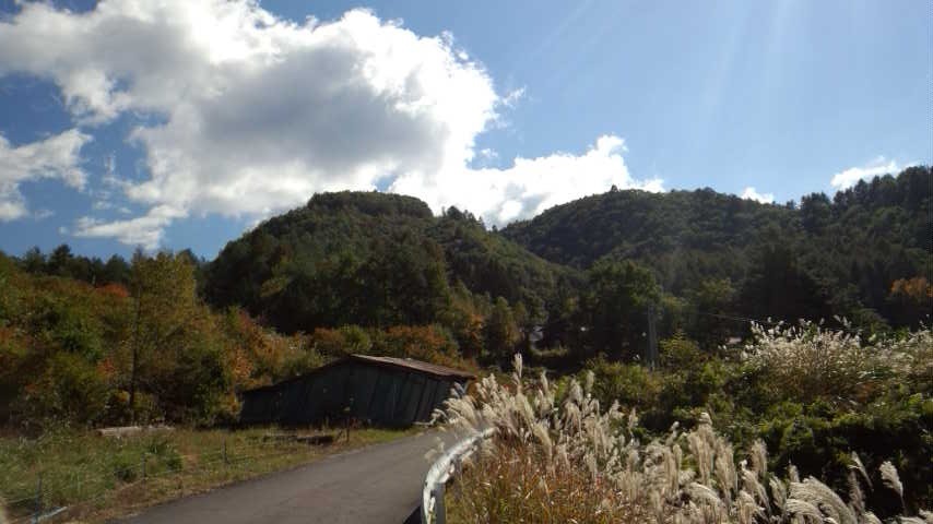 a0130586_18565424.jpg