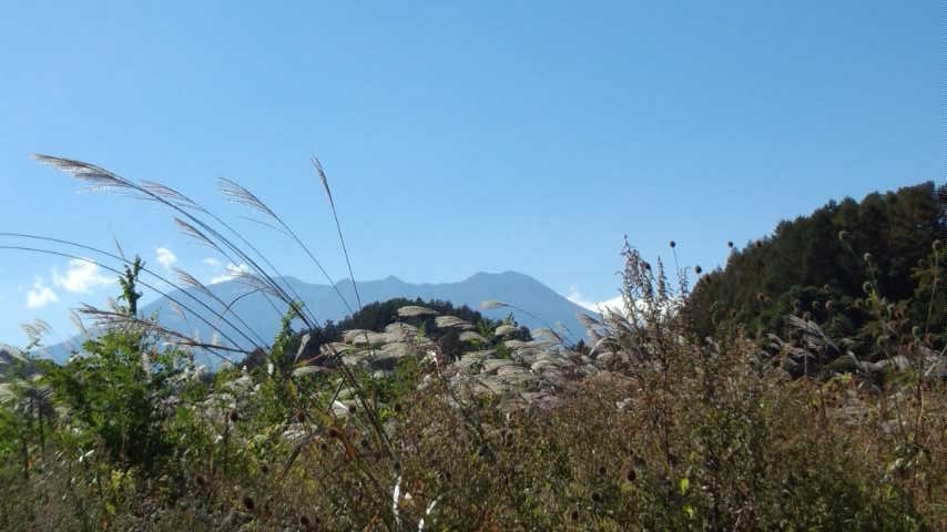 a0130586_18572051.jpg