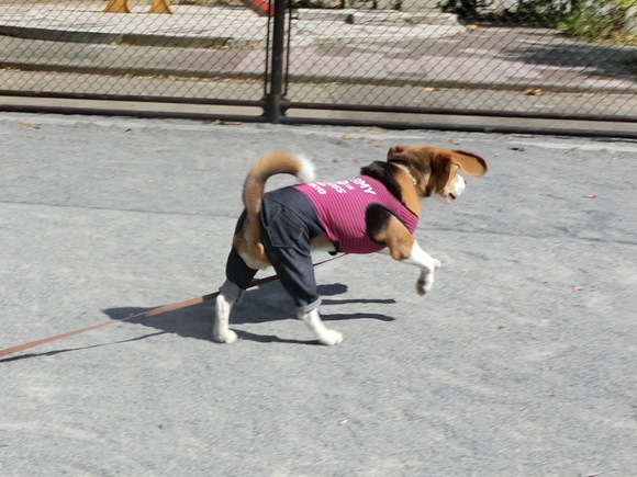 a0319693_8244323.jpg