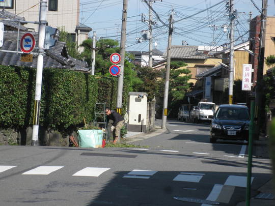 f0010195_4154249.jpg