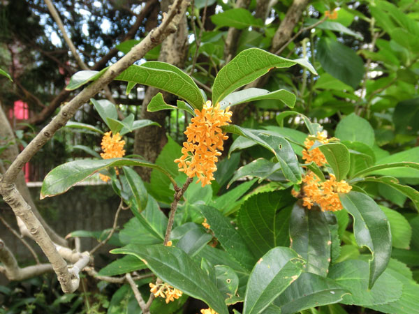 e0131399_065338.jpg