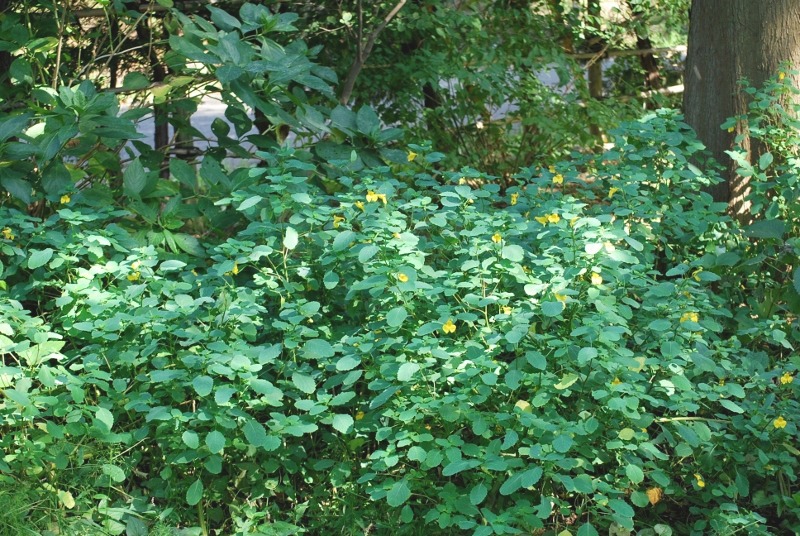 e0025300_21571983.jpg