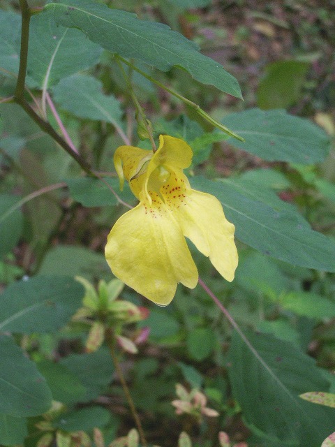 e0025300_2223890.jpg