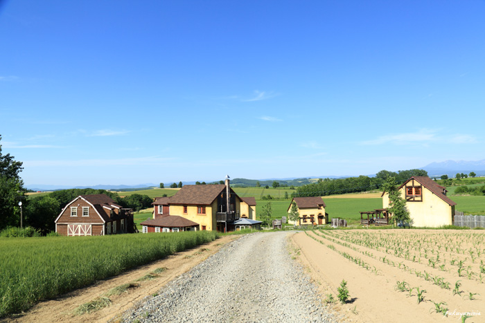 f0185802_14374699.jpg