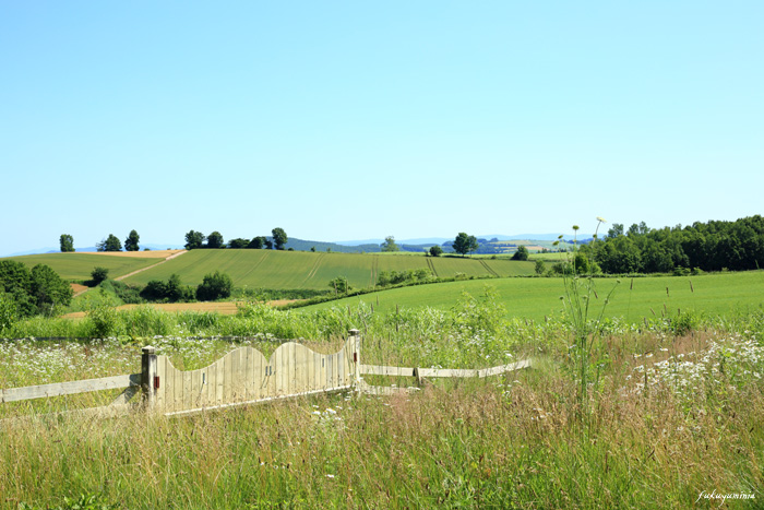 f0185802_145163.jpg