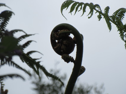 c0212604_2035416.jpg