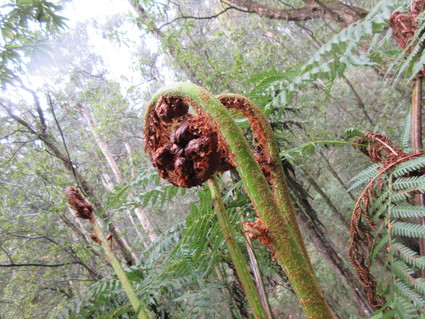 c0212604_20394691.jpg