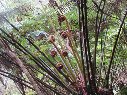 c0212604_20403533.jpg