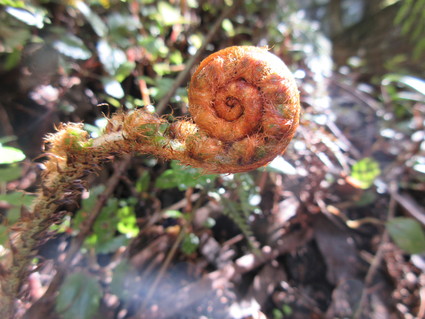 c0212604_2046411.jpg