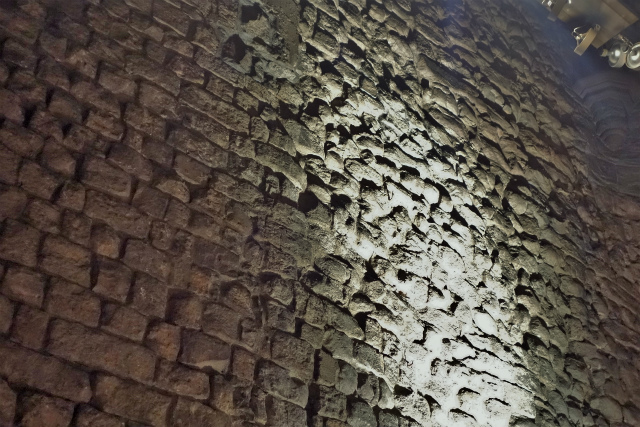 b0064411_05570846.jpg