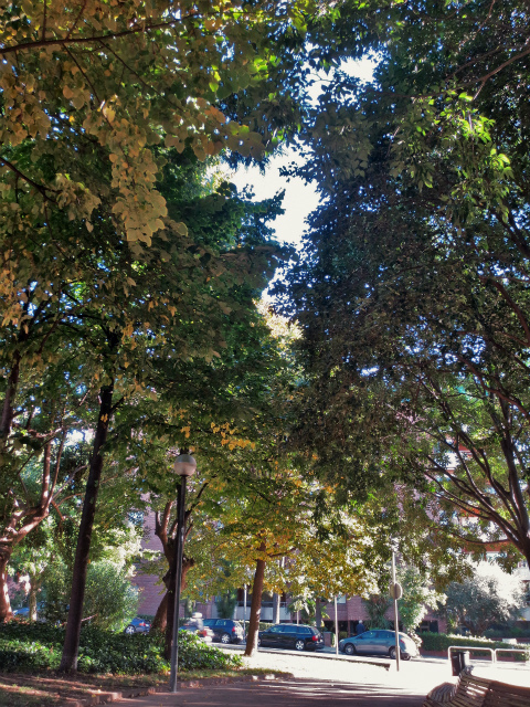 b0064411_06242496.jpg