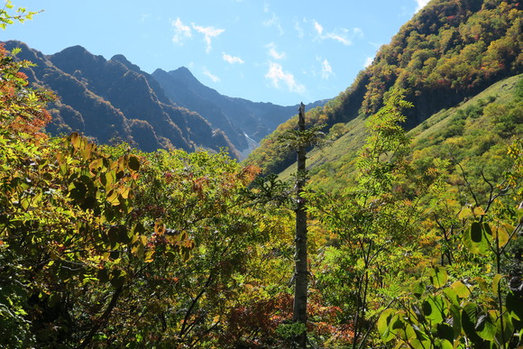 b0093515_20312074.jpg
