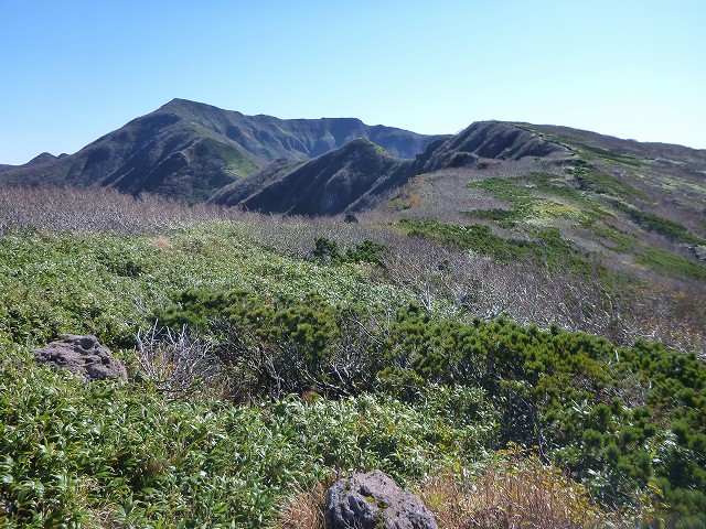 c0048117_168487.jpg