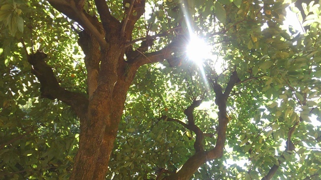 c0013922_22012838.jpg