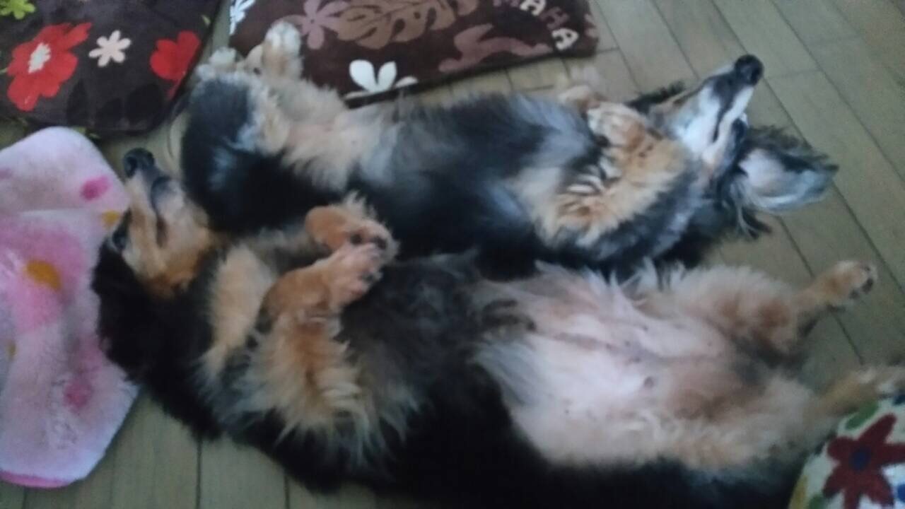 b0029126_21024964.jpeg