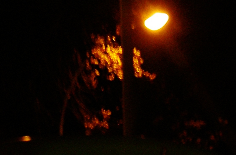 b0252727_752940.jpg