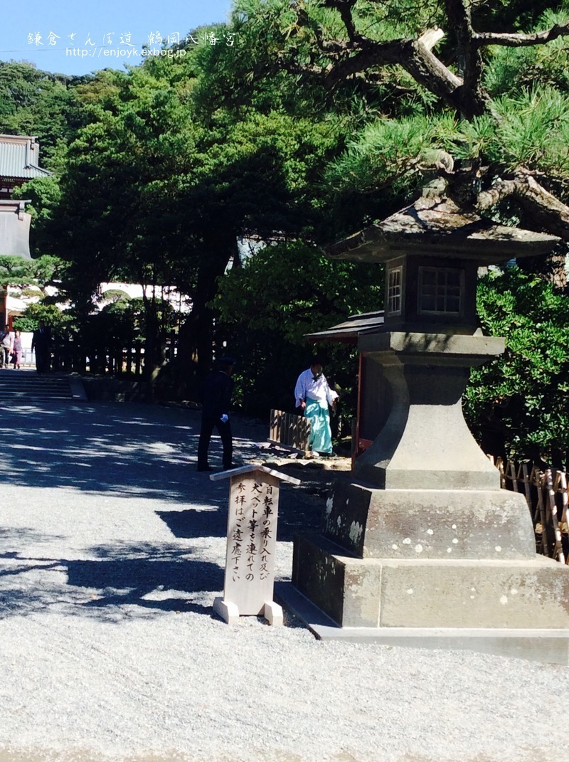 d0269832_15281717.jpeg