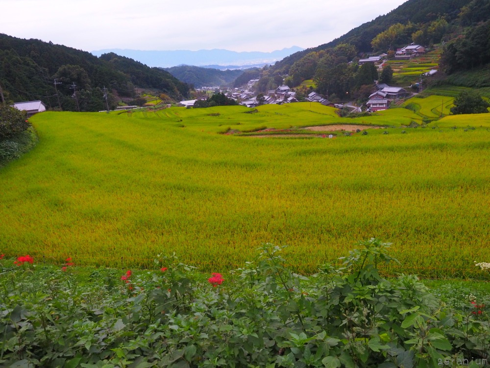 c0133533_001496.jpg