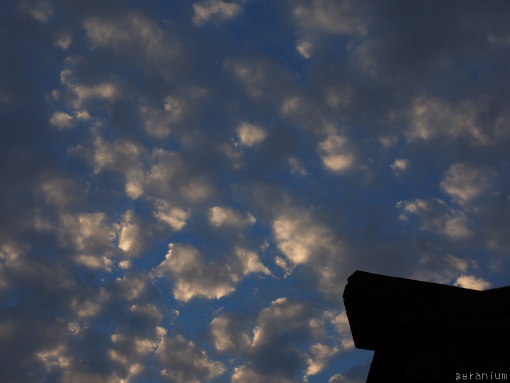 c0133533_23592061.jpg