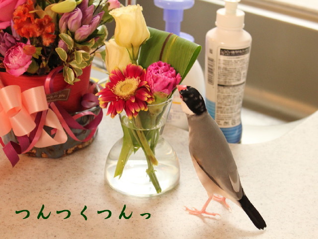 c0365734_22491228.jpg