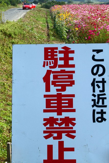 a0242438_1912889.jpg