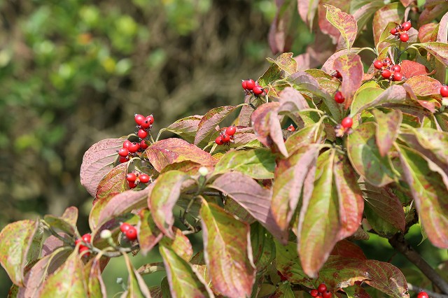 a0242438_192407.jpg