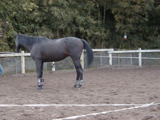a0305943_20270367.jpg