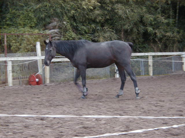 a0305943_20391235.jpg