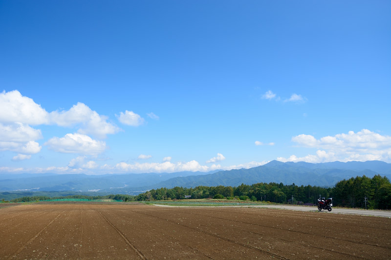 d0164443_2103445.jpg