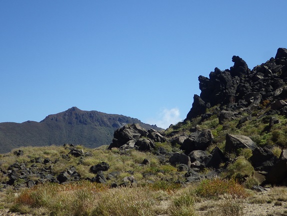 e0164643_11291081.jpg