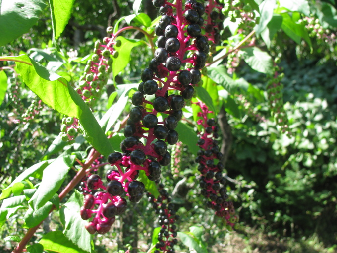 f0151044_18334310.jpg