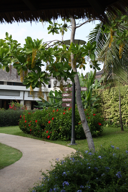 c0209845_101554.jpg