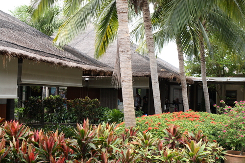 c0209845_10581.jpg