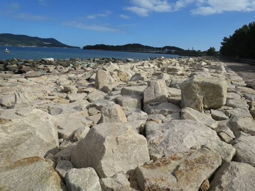 f0202151_20594985.jpg