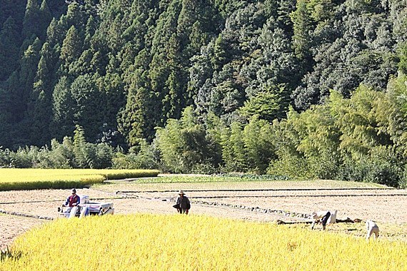 e0031456_16303911.jpg