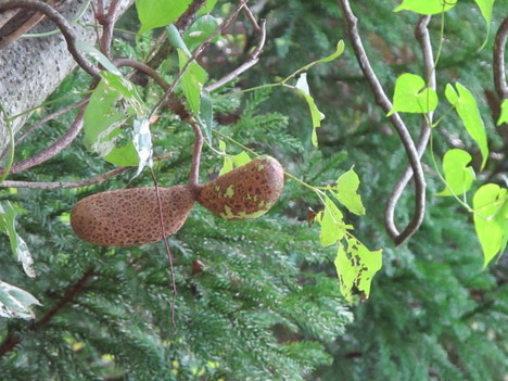 d0226259_201191.jpg