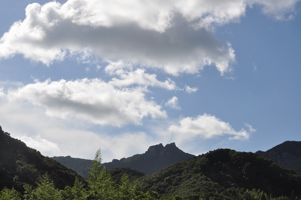 b0104861_17135385.jpg