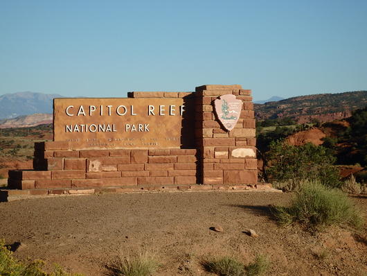 c0115366_675862.jpg