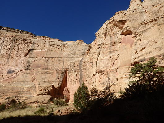 c0115366_7232717.jpg