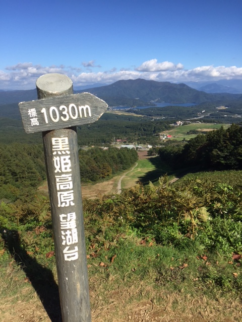 d0050871_16202339.jpg