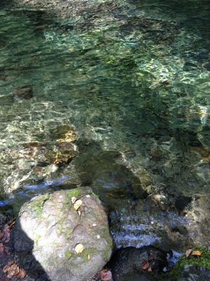 e0217871_1521518.jpg