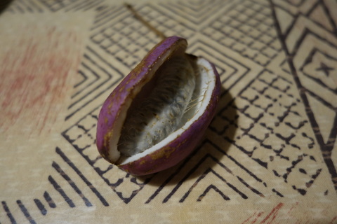 c0216472_20154971.jpg