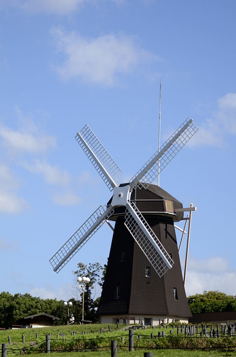 f0108478_20104990.jpg