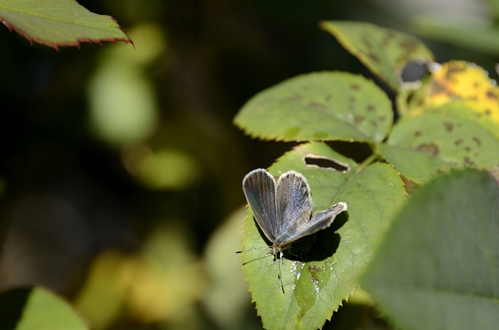 f0108478_2013057.jpg