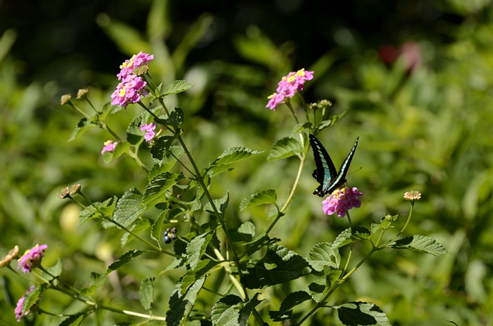 f0108478_20151380.jpg