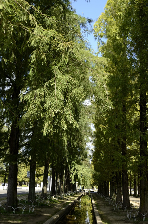 f0108478_203233.jpg