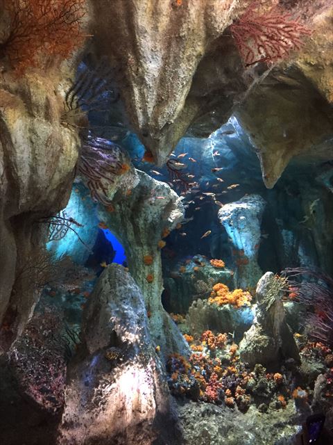 f0167281_11115129.jpg
