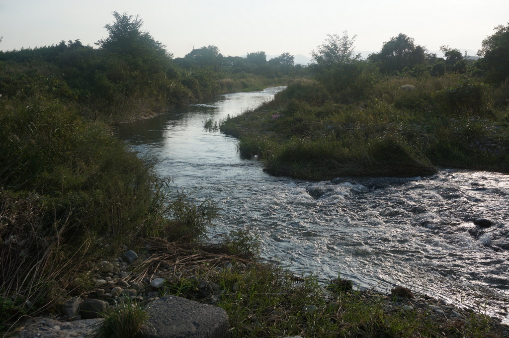 c0180686_11255382.jpg