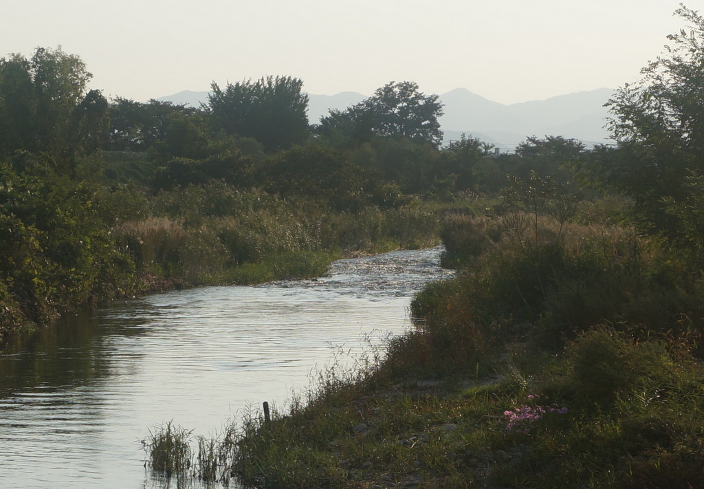 c0180686_11255940.jpg